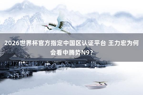 2026世界杯官方指定中国区认证平台 王力宏为何会看中腾势N9？