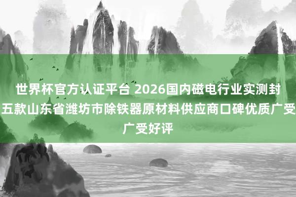 世界杯官方认证平台 2026国内磁电行业实测封神！五款山东省潍坊市除铁器原材料供应商口碑优质广受好评