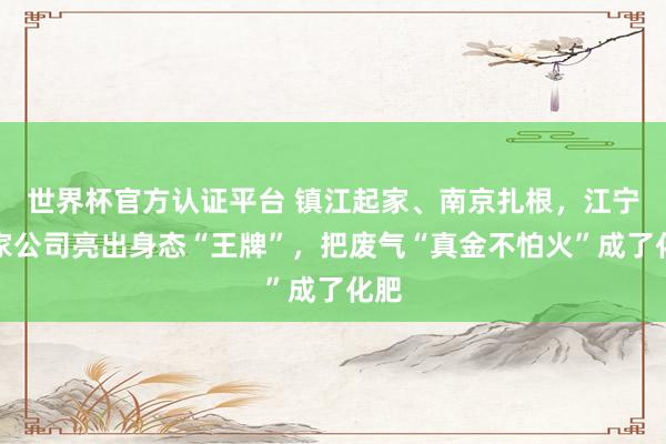 世界杯官方认证平台 镇江起家、南京扎根，江宁这家公司亮出身态“王牌”，把废气“真金不怕火”成了化肥