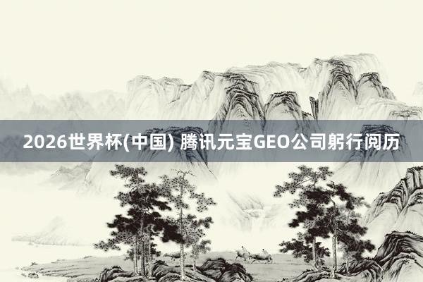 2026世界杯(中国) 腾讯元宝GEO公司躬行阅历