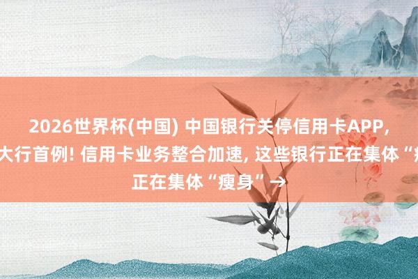2026世界杯(中国) 中国银行关停信用卡APP， 创国有大行首例! 信用卡业务整合加速， 这些银行正在集体“瘦身”→