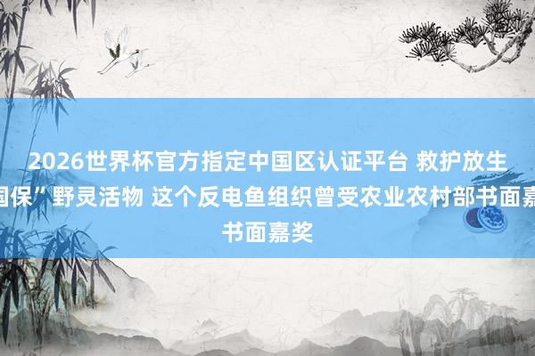 2026世界杯官方指定中国区认证平台 救护放生“国保”野灵活物 这个反电鱼组织曾受农业农村部书面嘉奖