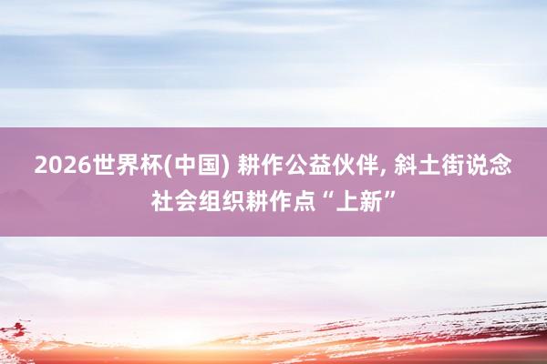 2026世界杯(中国) 耕作公益伙伴， 斜土街说念社会组织耕作点“上新”