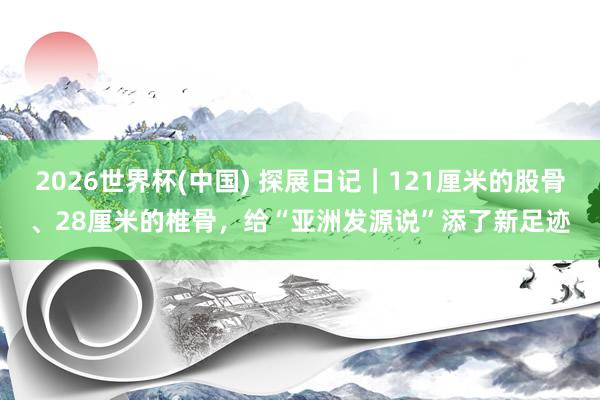 2026世界杯(中国) 探展日记｜121厘米的股骨、28厘米的椎骨，给“亚洲发源说”添了新足迹