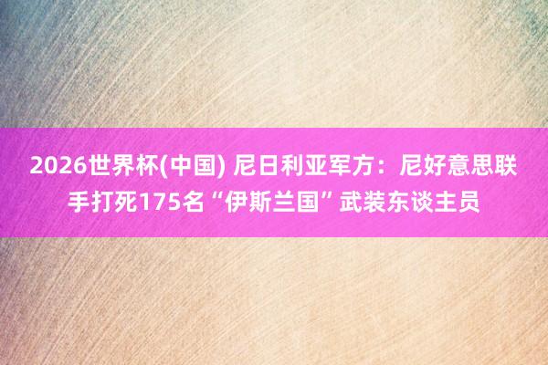 2026世界杯(中国) 尼日利亚军方：尼好意思联手打死175名“伊斯兰国”武装东谈主员