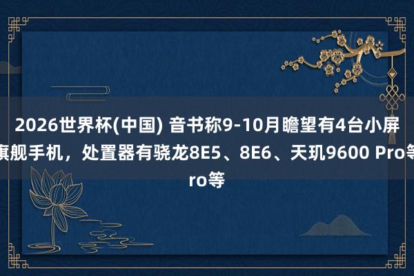 2026世界杯(中国) 音书称9-10月瞻望有4台小屏旗舰手机，处置器有骁龙8E5、8E6、天玑9600 Pro等