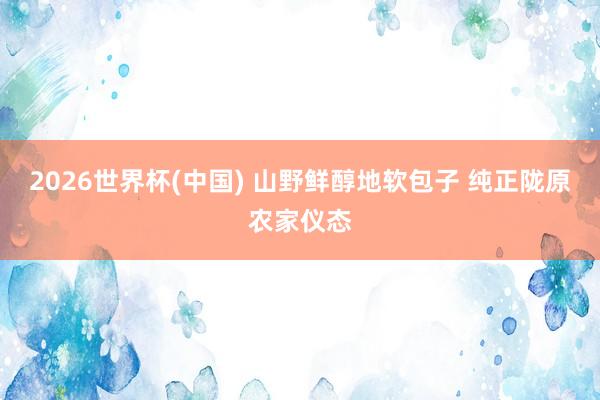 2026世界杯(中国) 山野鲜醇地软包子 纯正陇原农家仪态
