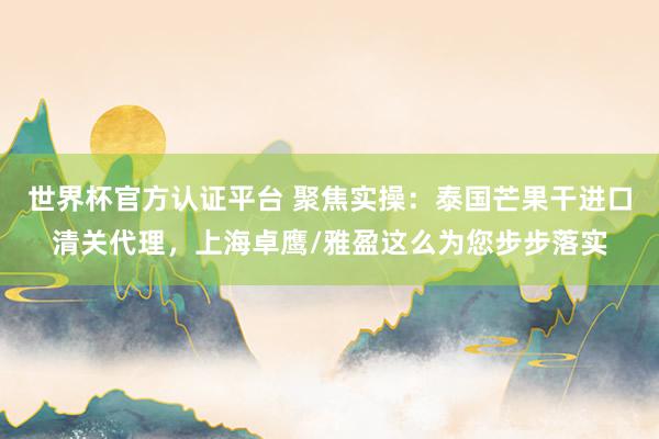 世界杯官方认证平台 聚焦实操：泰国芒果干进口清关代理，上海卓鹰/雅盈这么为您步步落实