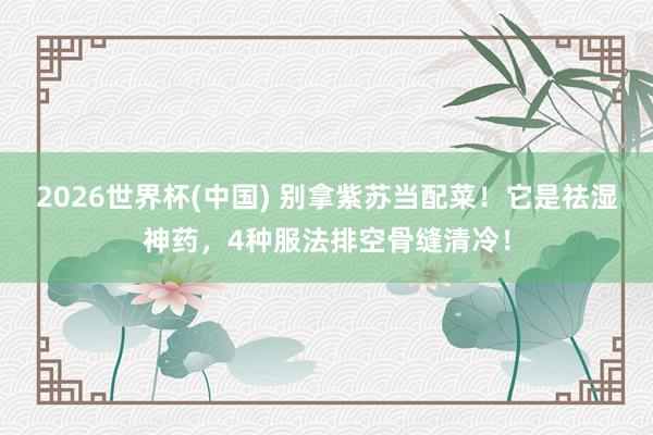 2026世界杯(中国) 别拿紫苏当配菜！它是祛湿神药，4种服法排空骨缝清冷！