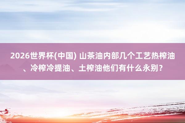 2026世界杯(中国) 山茶油内部几个工艺热榨油、冷榨冷提油、土榨油他们有什么永别？
