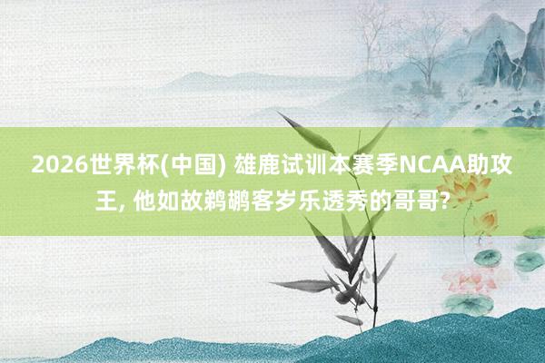 2026世界杯(中国) 雄鹿试训本赛季NCAA助攻王， 他如故鹈鹕客岁乐透秀的哥哥?