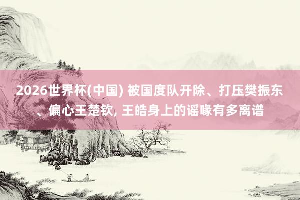 2026世界杯(中国) 被国度队开除、打压樊振东、偏心王楚钦， 王皓身上的谣喙有多离谱