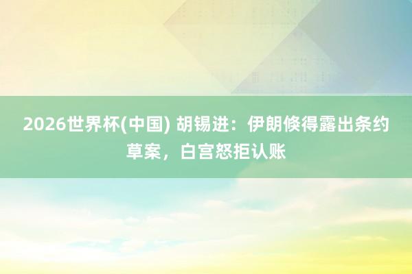 2026世界杯(中国) 胡锡进：伊朗倏得露出条约草案，白宫怒拒认账