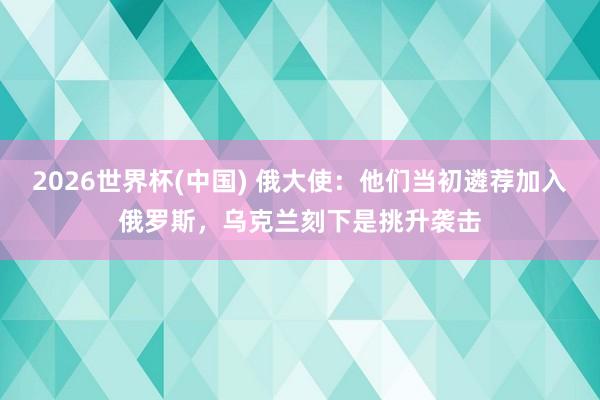 2026世界杯(中国) 俄大使：他们当初遴荐加入俄罗斯，乌克兰刻下是挑升袭击