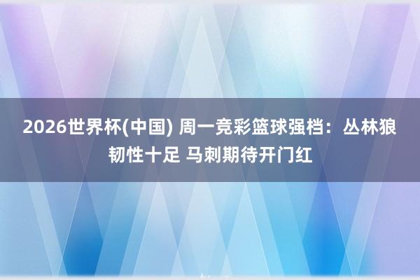 2026世界杯(中国) 周一竞彩篮球强档：丛林狼韧性十足 马刺期待开门红