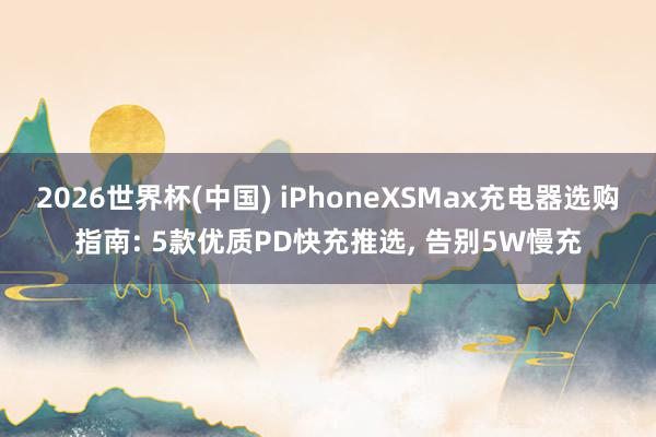 2026世界杯(中国) iPhoneXSMax充电器选购指南: 5款优质PD快充推选， 告别5W慢充