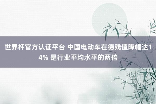 世界杯官方认证平台 中国电动车在德残值降幅达14% 是行业平均水平的两倍