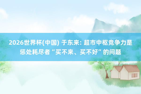 2026世界杯(中国) 于东来: 超市中枢竞争力是惩处耗尽者“买不来、买不好”的问题