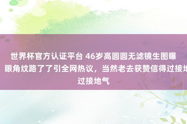 世界杯官方认证平台 46岁高圆圆无滤镜生图曝光！眼角纹路了了引全网热议，当然老去获赞信得过接地气