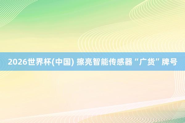 2026世界杯(中国) 擦亮智能传感器“广货”牌号