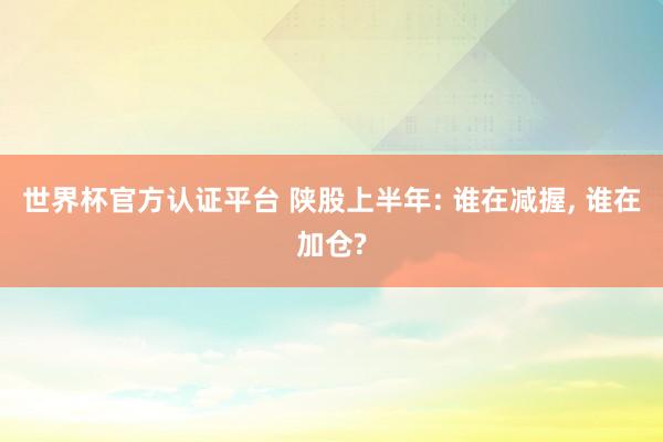 世界杯官方认证平台 陕股上半年: 谁在减握， 谁在加仓?