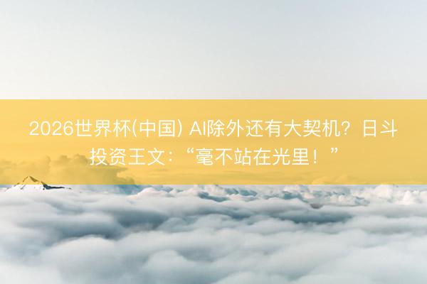 2026世界杯(中国) AI除外还有大契机？日斗投资王文：“毫不站在光里！”
