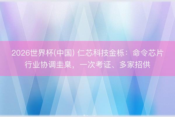 2026世界杯(中国) 仁芯科技金栎：命令芯片行业协调圭臬，一次考证、多家招供