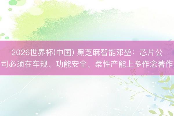2026世界杯(中国) 黑芝麻智能邓堃：芯片公司必须在车规、功能安全、柔性产能上多作念著作