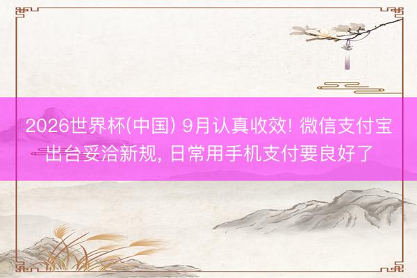 2026世界杯(中国) 9月认真收效! 微信支付宝出台妥洽新规, 日常用手机支付要良好了