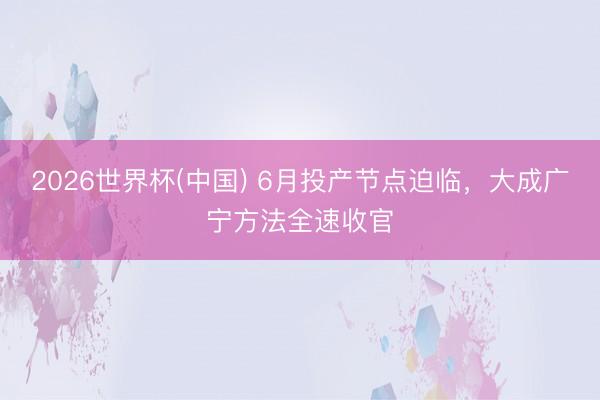 2026世界杯(中国) 6月投产节点迫临，大成广宁方法全速收官