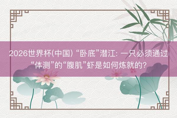 2026世界杯(中国) “卧底”潜江: 一只必须通过“体测”的“腹肌”虾是如何炼就的?