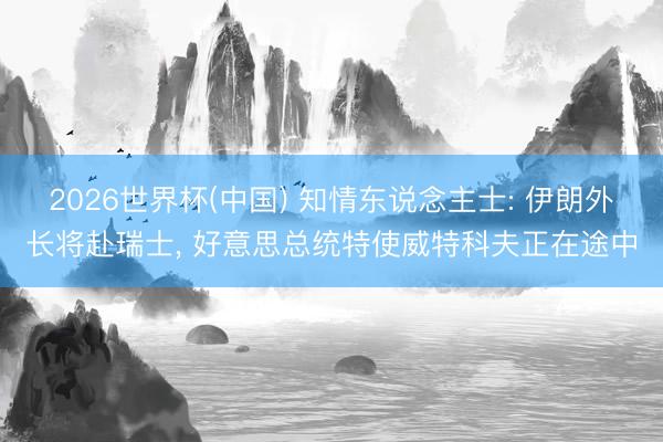 2026世界杯(中国) 知情东说念主士: 伊朗外长将赴瑞士, 好意思总统特使威特科夫正在途中